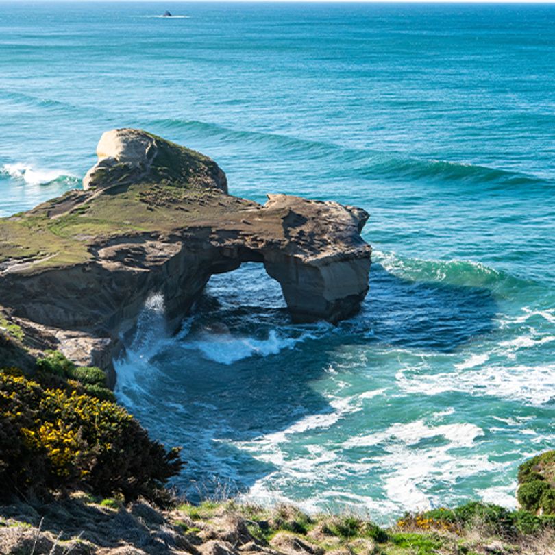 Professional Customer Support: